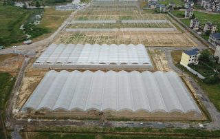 Closed Roof Gothic Greenhouse