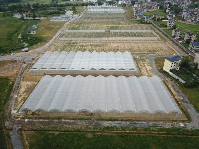 Closed Roof Gothic Greenhouse